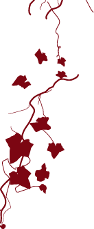 Red vine graphic