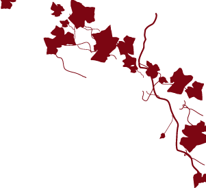 Red vine graphic